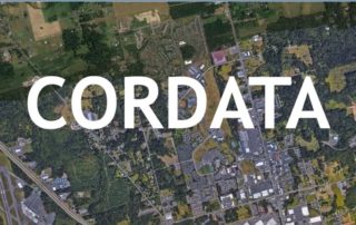 Cordata neighborhood