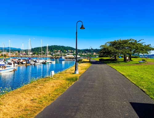 Top 5 Parks in Bellingham, Washington