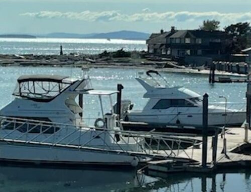 Where Real Estate Meets the Sea: Bellingham’s Marine Community with Barbara Thevenaz